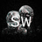 Swanik