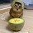 Lolcat67