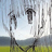 akkvarium