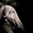 anonymous228