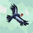 Ibrahim9246