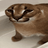 vladheadshot122