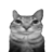 zolo