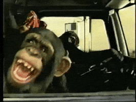 Lol GIF Çatlama